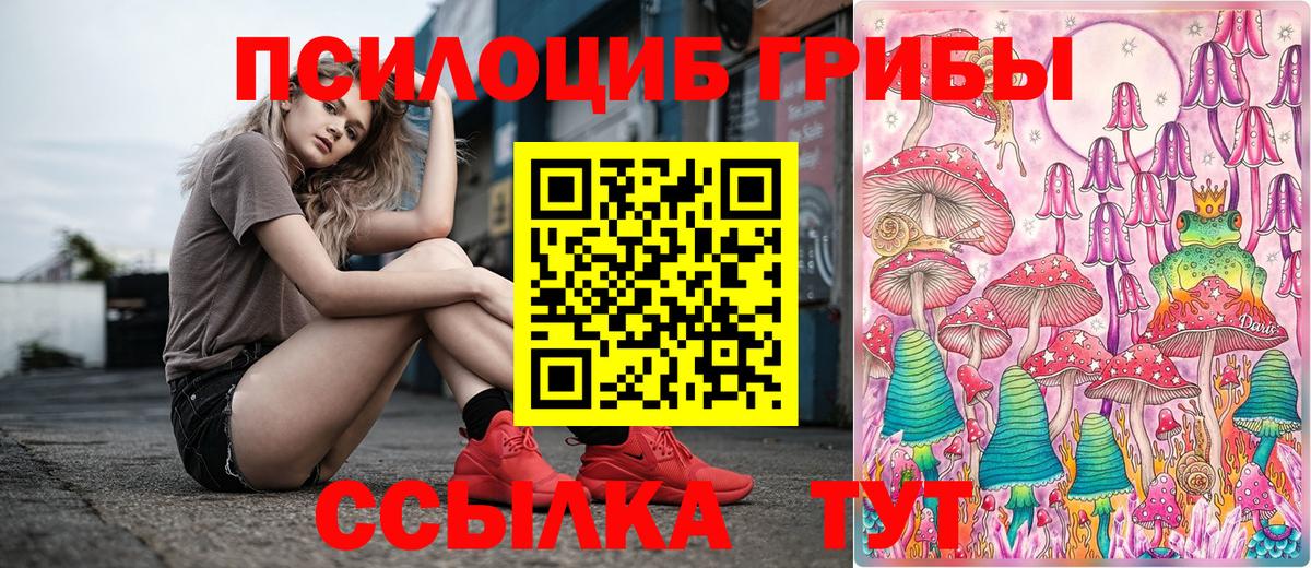 Рязань  Псилоцибиновые грибы MAGIC MUSHROOMS  Вход с VPN 